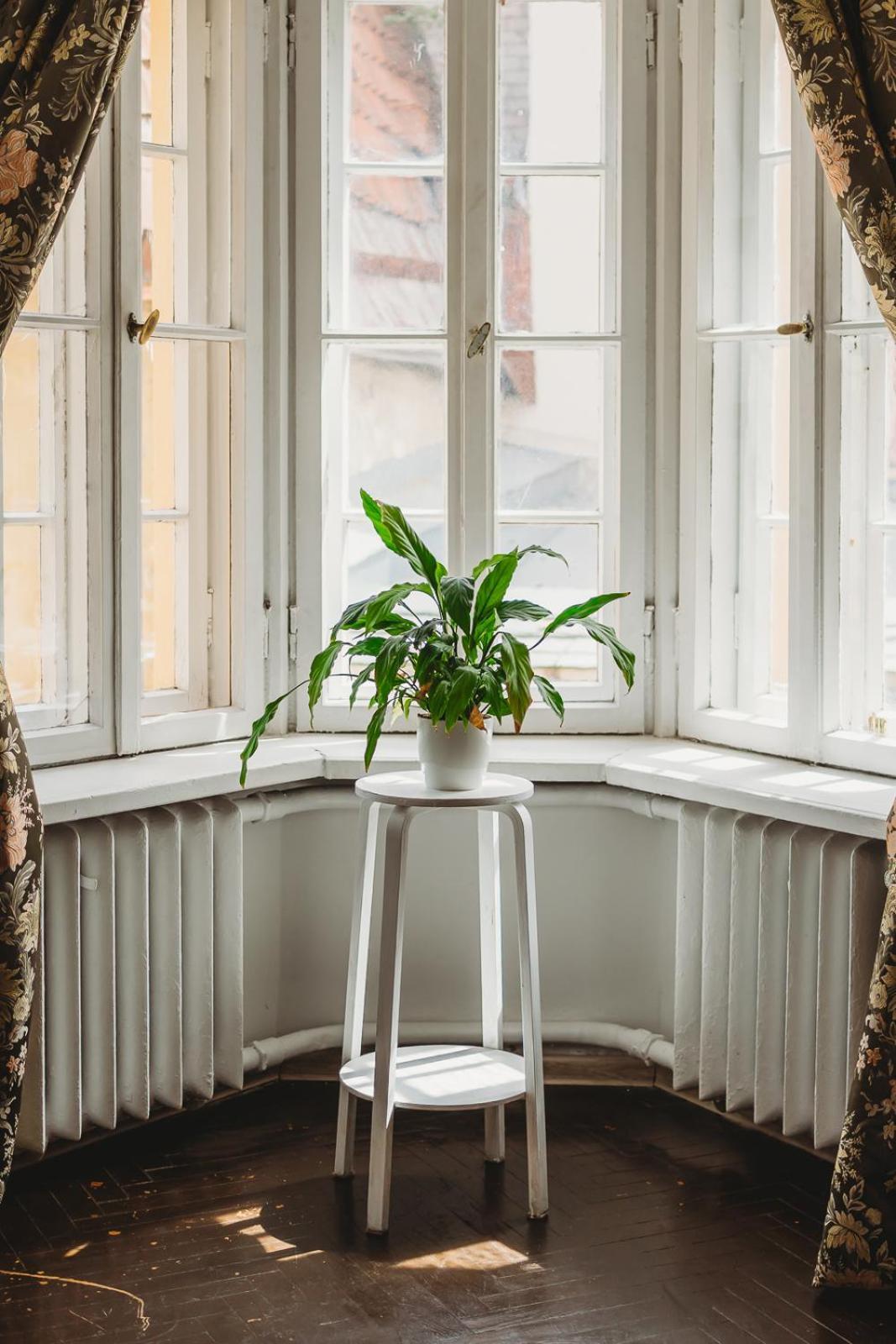 4 Bedroom Old Town - 3 Bathrooms Korter Tallinn
